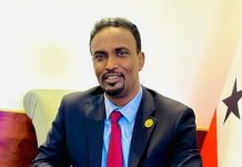 Wasiirka Arrimaha Dibadda” Somaliland Socod Dheer Ayaynu Soo Galnay, Laakiin Hadda Iftiinkii Ictiraafka Ayaa Inoo Muuqda